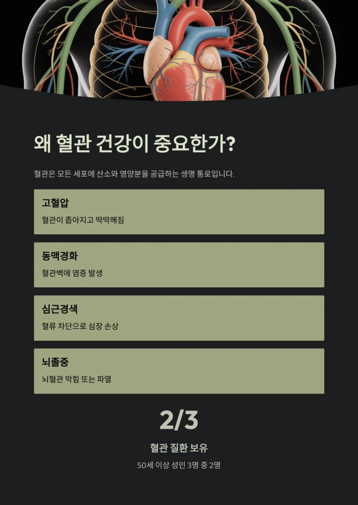 건강한 혈관을 만드는 식단의 비밀 | 혈관 나이 되돌리는 음식 조합과 루틴, 혈관 건강