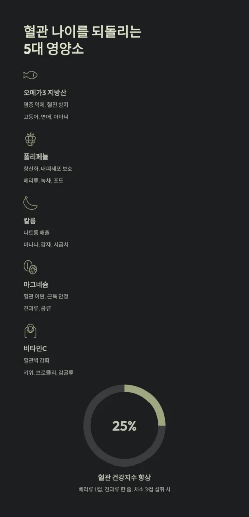 건강한 혈관을 만드는 식단의 비밀 | 혈관 나이 되돌리는 음식 조합과 루틴, 혈관 건강