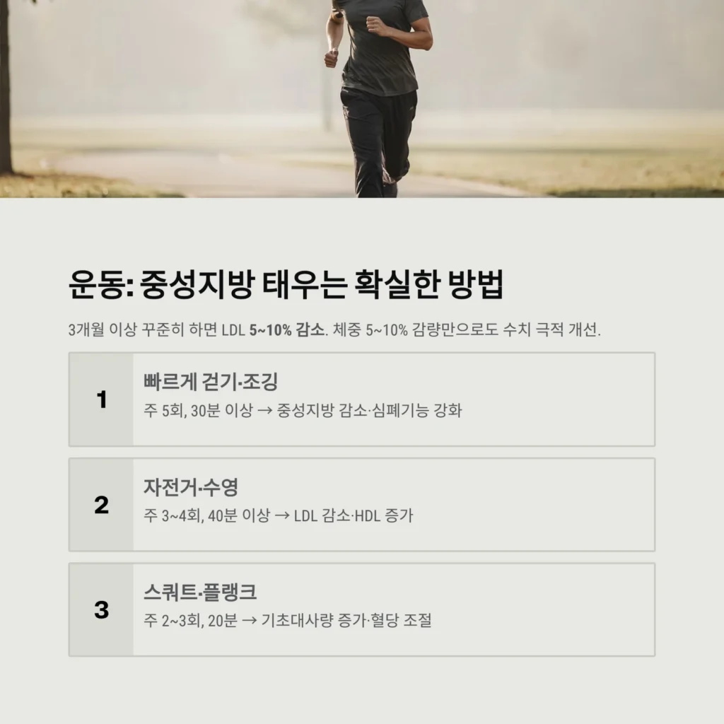 운동: 중성지방 태우는 확실한 방법