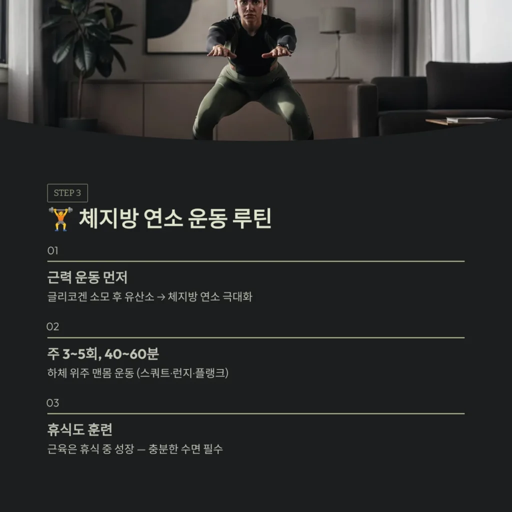 체지방 연소 운동 루틴
